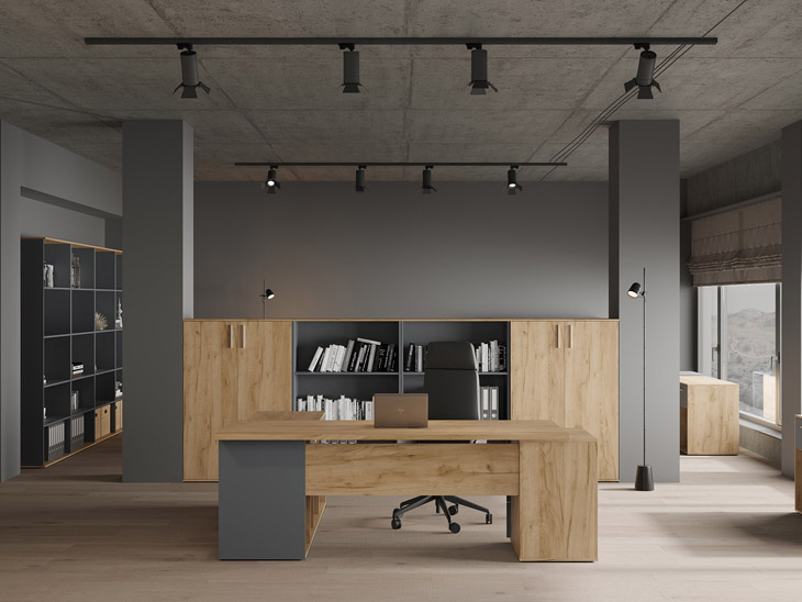 Zion Light Zion_Light_01.jpg